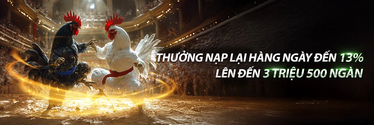 Đá gà trực tuyến SHBET80 Login với các trận đấu kịch tính và tỷ lệ cược hấp dẫn